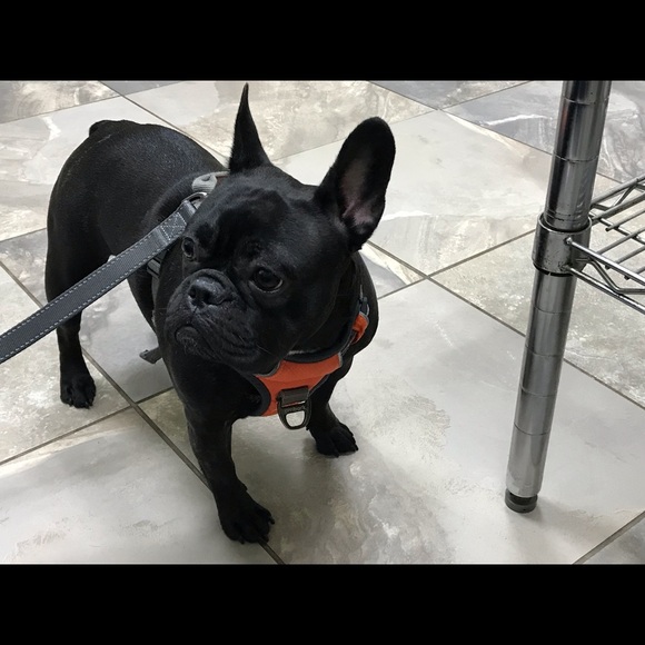 Meet your Posher, Debi - Picture 8 of 15